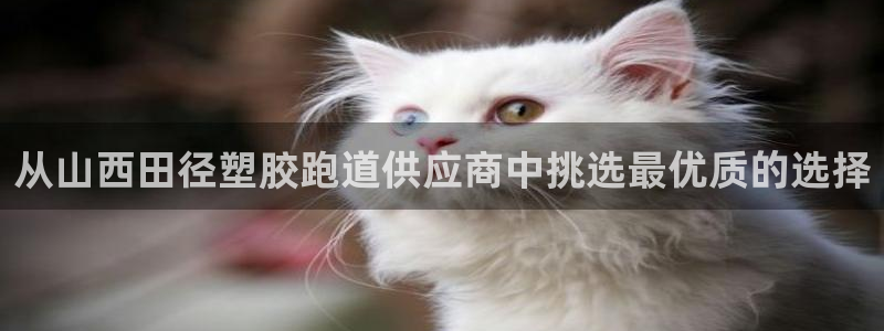 红足一比分网：从山西田径塑胶跑道供应商中挑选最优质的选择