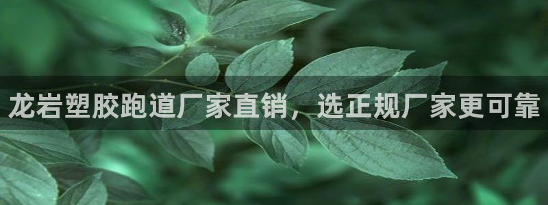 红足一1世开奖记录：龙岩塑胶跑道厂家直销，选正规厂家更可靠