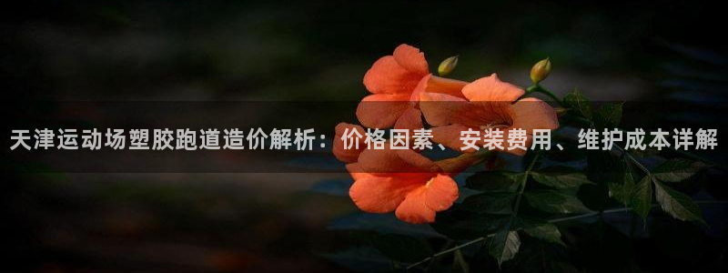 红足一1世手机开奖：天津运动场塑胶跑道造价解析：价格因素、安装费用、维护成本详解