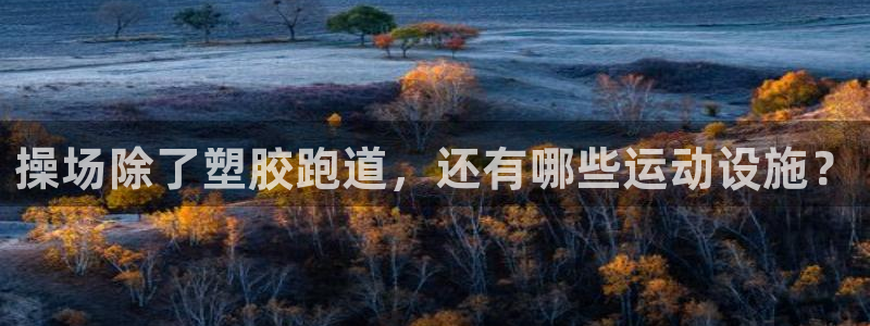红足1世1站2站管理网：操场除了塑胶跑道，还有哪些运动设施？
