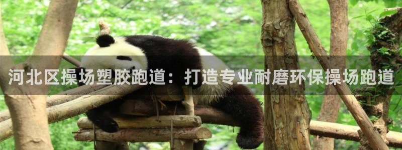 66814红足：河北区操场塑胶跑道：打造专业耐磨环保操场跑道