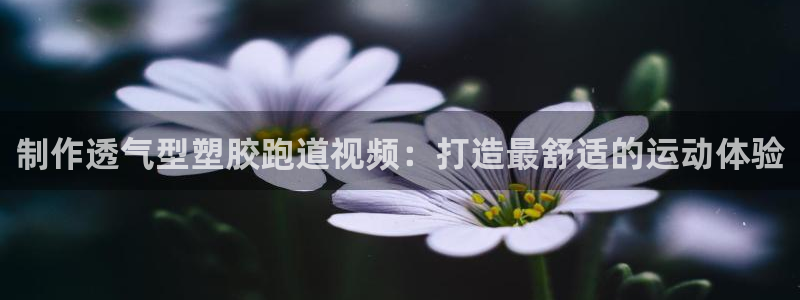 红足足球网