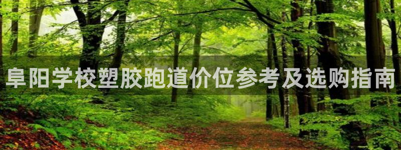 红足一一世：阜阳学校塑胶跑道价位参考及选购指南