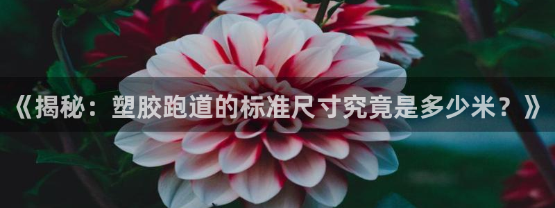 红足1世足球比分网址：《揭秘：塑胶跑道的标准尺寸究竟是多少米？》