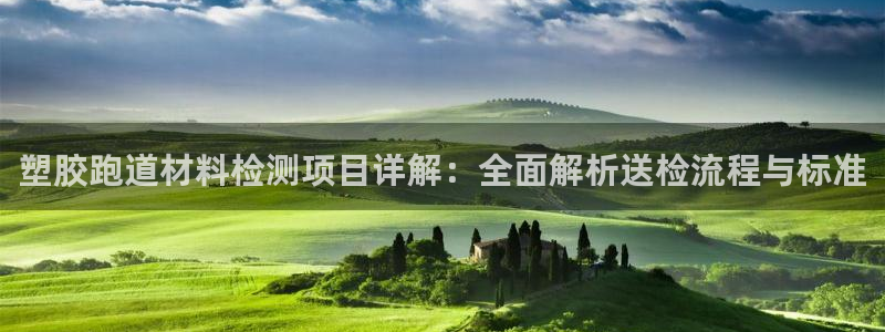 333814红足1世：塑胶跑道材料检测项目详解：全面解析送检流程与标准