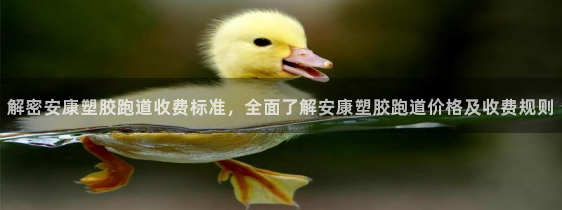 4633333开奖结果4176一点红：解密安康塑胶跑道收费标准，全面了解安康塑胶跑道价格及收费规则