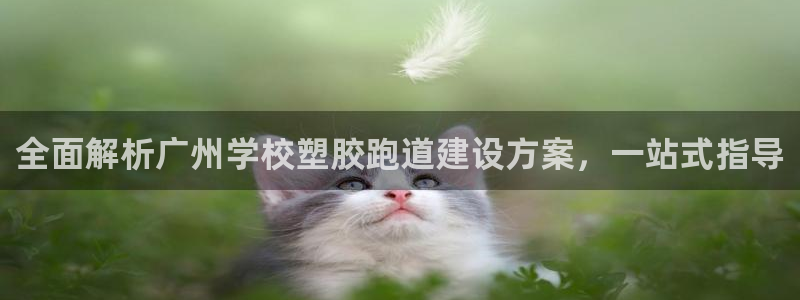 红足一1世皇冠