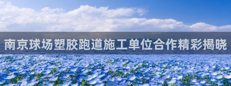 红足1世手机板：南京球场塑胶跑道施工单位合作精彩揭晓