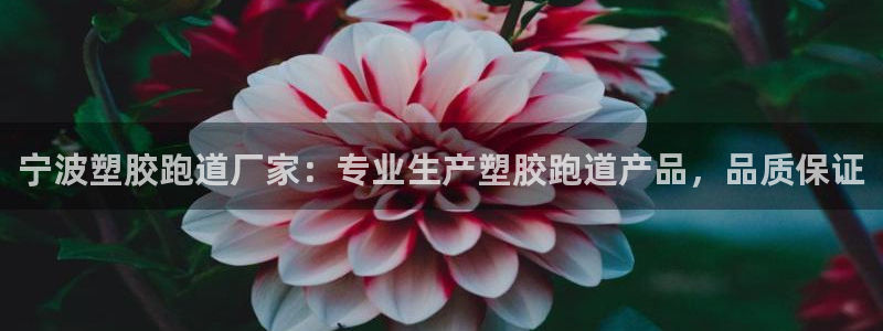 红世一足球比分