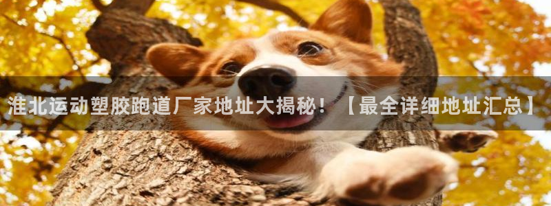 红足一1世官网比分