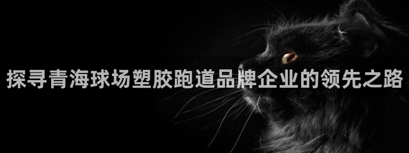 红足l一世开奖现场62ty：探寻青海球场塑胶跑道品牌企业的领先之路