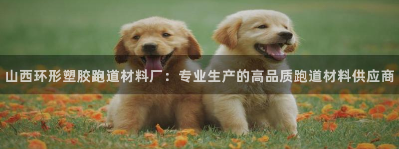 红世一足球比分：山西环形塑胶跑道材料厂：专业生产的高品质跑道材料供应商