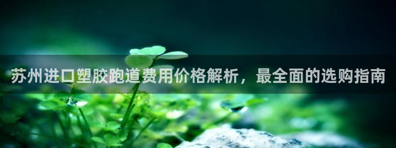 百度红足一1是什么样子的：苏州进口塑胶跑道费用价格解析，最全面的选购指南