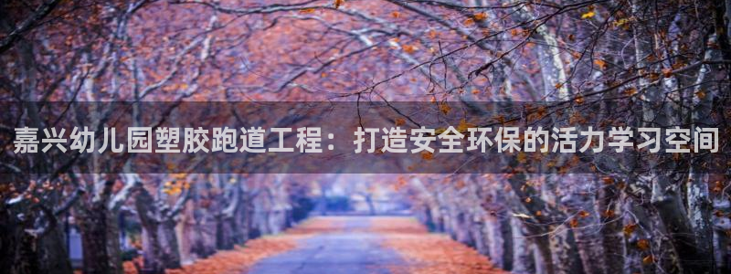 新2足球平台出租网站：嘉兴幼儿园塑胶跑道工程：打造安全环保的活力学习空间