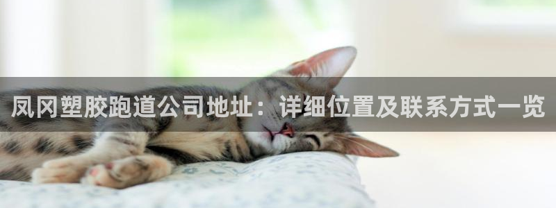 红足一1世即时比分：凤冈塑胶跑道公司地址：详细位置及联系方式一览
