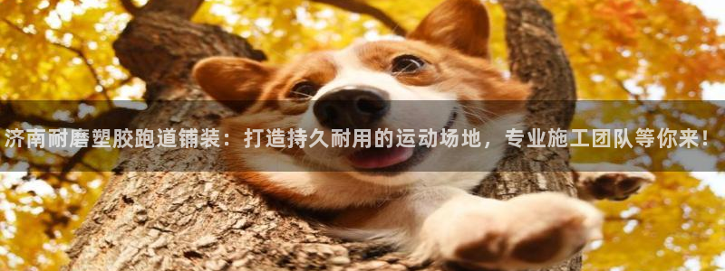 红足1世开奖预测：济南耐磨塑胶跑道铺装：打造持久耐用的运动场地，专业施工团队等你来！
