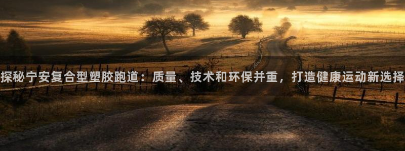44814红足：探秘宁安复合型塑胶跑道：质量、技术和环保并重，打造健康运动新选择