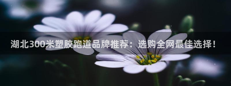 百度红足一1是干什么的：湖北300米塑胶跑道品牌推荐：选购全网最佳选择！