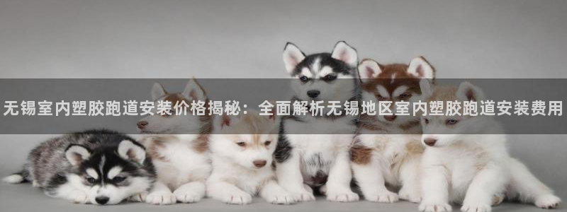 红足一1世皇冠登录：无锡室内塑胶跑道安装价格揭秘：全面解析无锡地区室内塑胶跑道安装费用