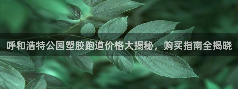 红足1世开奖预测：呼和浩特公园塑胶跑道价格大揭秘，购买指南全揭晓