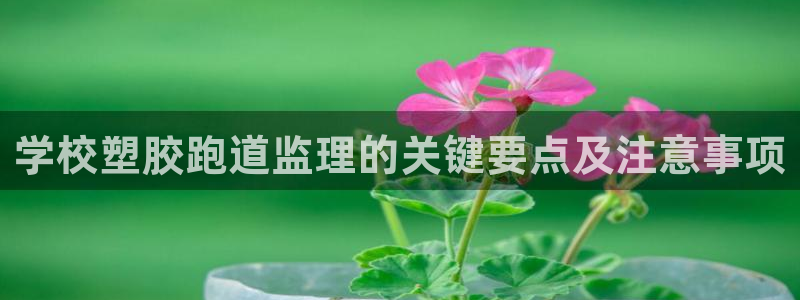 66814红足：学校塑胶跑道监理的关键要点及注意事项