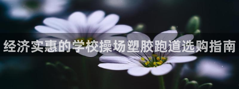 红足一1世比分：经济实惠的学校操场塑胶跑道选购指南