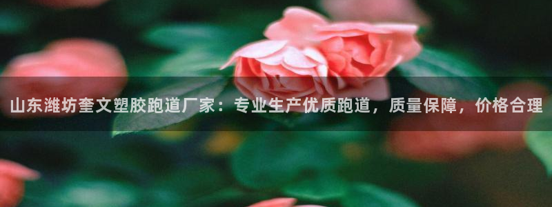红足一球：山东潍坊奎文塑胶跑道厂家：专业生产优质跑道，质量保障，价格合理