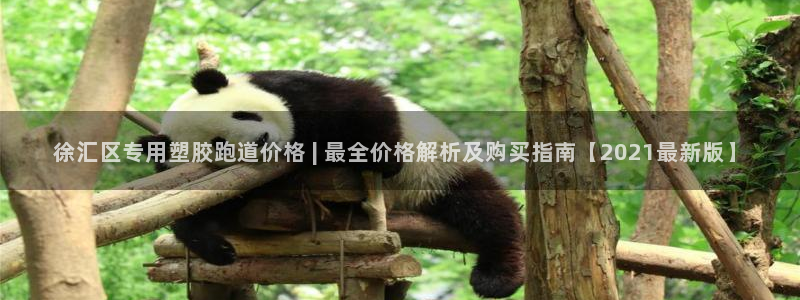百度红足一1视频在线观看：徐汇区专用塑胶跑道价格 | 最全价格解析及购买指南【2021最新版】
