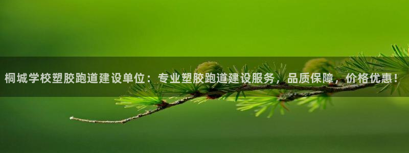 55814红足1世：桐城学校塑胶跑道建设单位：专业塑胶跑道建设服务，品质保障，价格优惠！