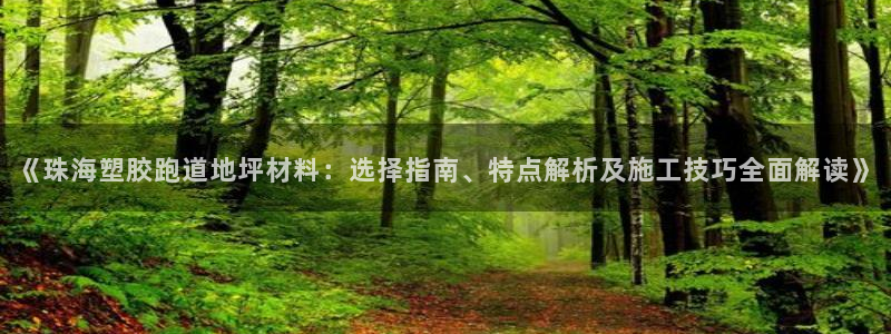 红足1一世：《珠海塑胶跑道地坪材料：选择指南、特点解析及施工技巧全面解读》