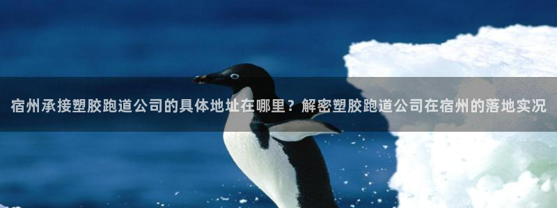 红足1世足球比分 localhost：宿州承接塑胶跑道公司的具体地址在哪里？解密塑胶跑道公司在宿州的落地实况