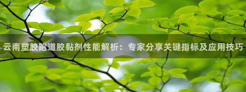 红足一1世手机开奖：云南塑胶跑道胶黏剂性能解析：专家分享关键指标及应用技巧