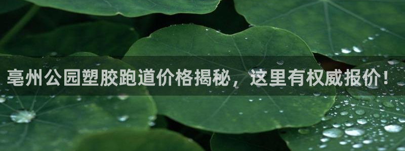 红足1一世足球手机：亳州公园塑胶跑道价格揭秘，这里有权威报价！