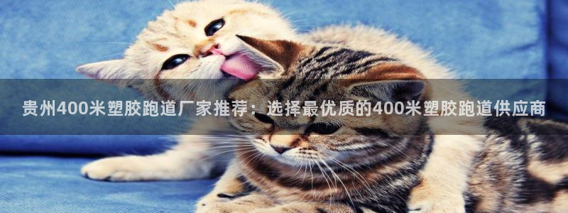 红足一1世皇冠：贵州400米塑胶跑道厂家推荐：选择最优质的400米塑胶跑道供应商