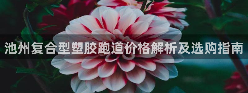 红世一足球比分
