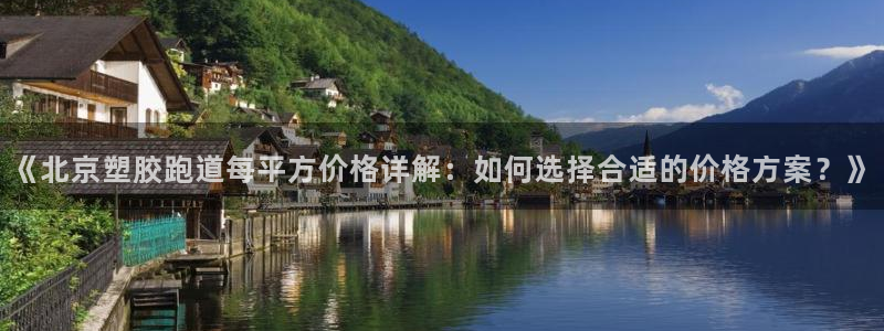 百度红足一1视频在线观看：《北京塑胶跑道每平方价格详解：如何选择合适的价格方案？》