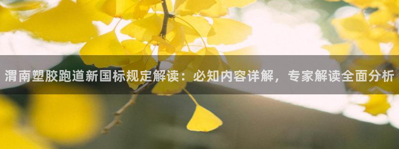 红足1世手机下载：渭南塑胶跑道新国标规定解读：必知内容详解，专家解读全面分析