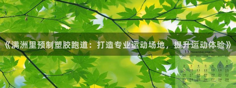 红足1世手机版下载：《满洲里预制塑胶跑道：打造专业运动场地，提升运动体验》