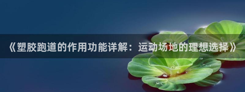 百度红足一1是为什么：《塑胶跑道的作用功能详解：运动场地的理想选择》