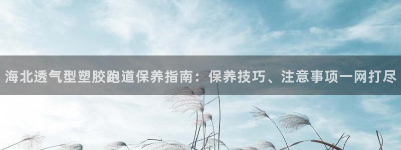 红足一1世皇冠：海北透气型塑胶跑道保养指南：保养技巧、注意事项一网打尽
