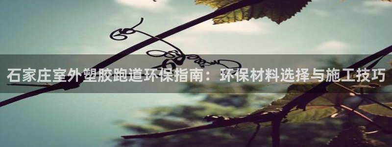 红足一球：石家庄室外塑胶跑道环保指南：环保材料选择与施工技巧