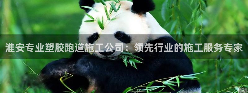 4633333开奖结果4176一点红：淮安专业塑胶跑道施工公司：领先行业的施工服务专家