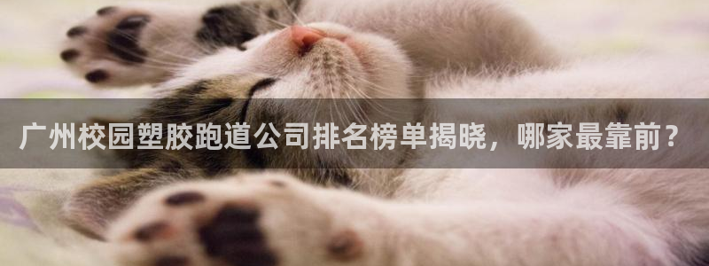 百度红足一1世：广州校园塑胶跑道公司排名榜单揭晓，哪家最靠前？