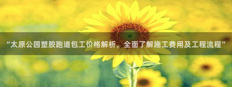 66814红足：“太原公园塑胶跑道包工价格解析，全面了解施工费用及工程流程”