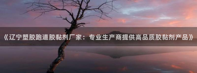红姐现场直播开奖记录：《辽宁塑胶跑道胶黏剂厂家：专业生产商提供高品质胶黏剂产品》