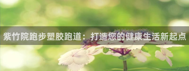 红足1世足球网址：紫竹院跑步塑胶跑道：打造您的健康生活新起点