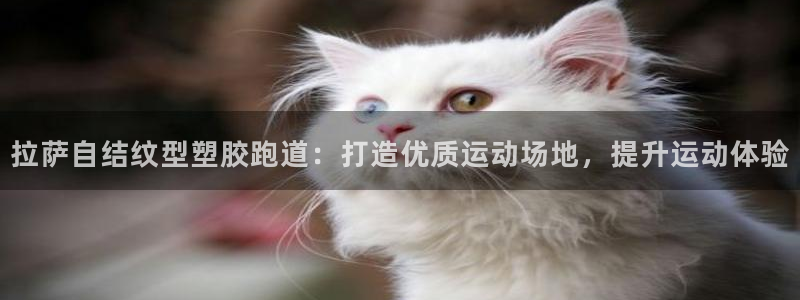 红足1一世 2站：拉萨自结纹型塑胶跑道：打造优质运动场地，提升运动体验