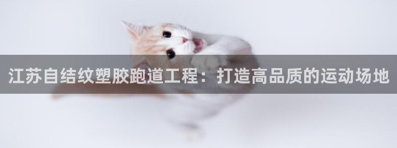 红足网足球直播：江苏自结纹塑胶跑道工程：打造高品质的运动场地