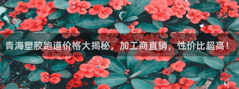 红足 世足球手机网：青海塑胶跑道价格大揭秘，加工商直销，性价比超高！