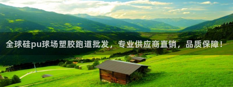 4633333开奖结果4176一点红
